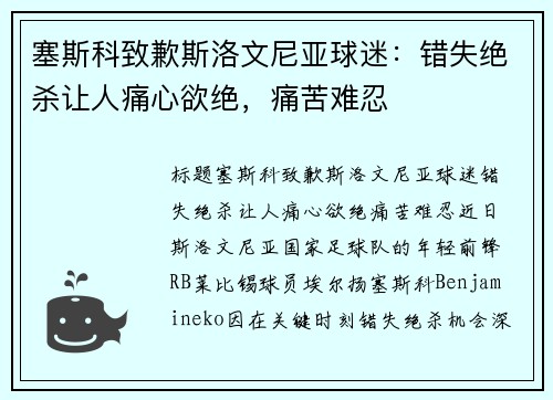 塞斯科致歉斯洛文尼亚球迷：错失绝杀让人痛心欲绝，痛苦难忍